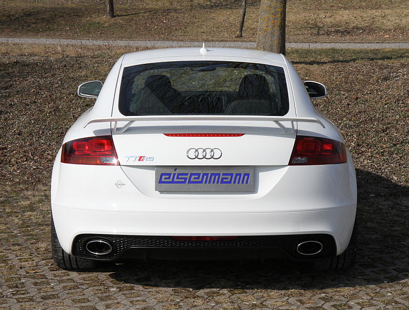 Eisenmann Endschalldämpfer mit Mittelrohr A1236.20602